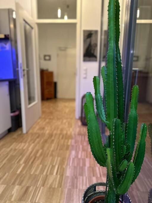 Luxus I Wohnkueche I Garten I Terrasse I Parkplatz Fürth Buitenkant foto