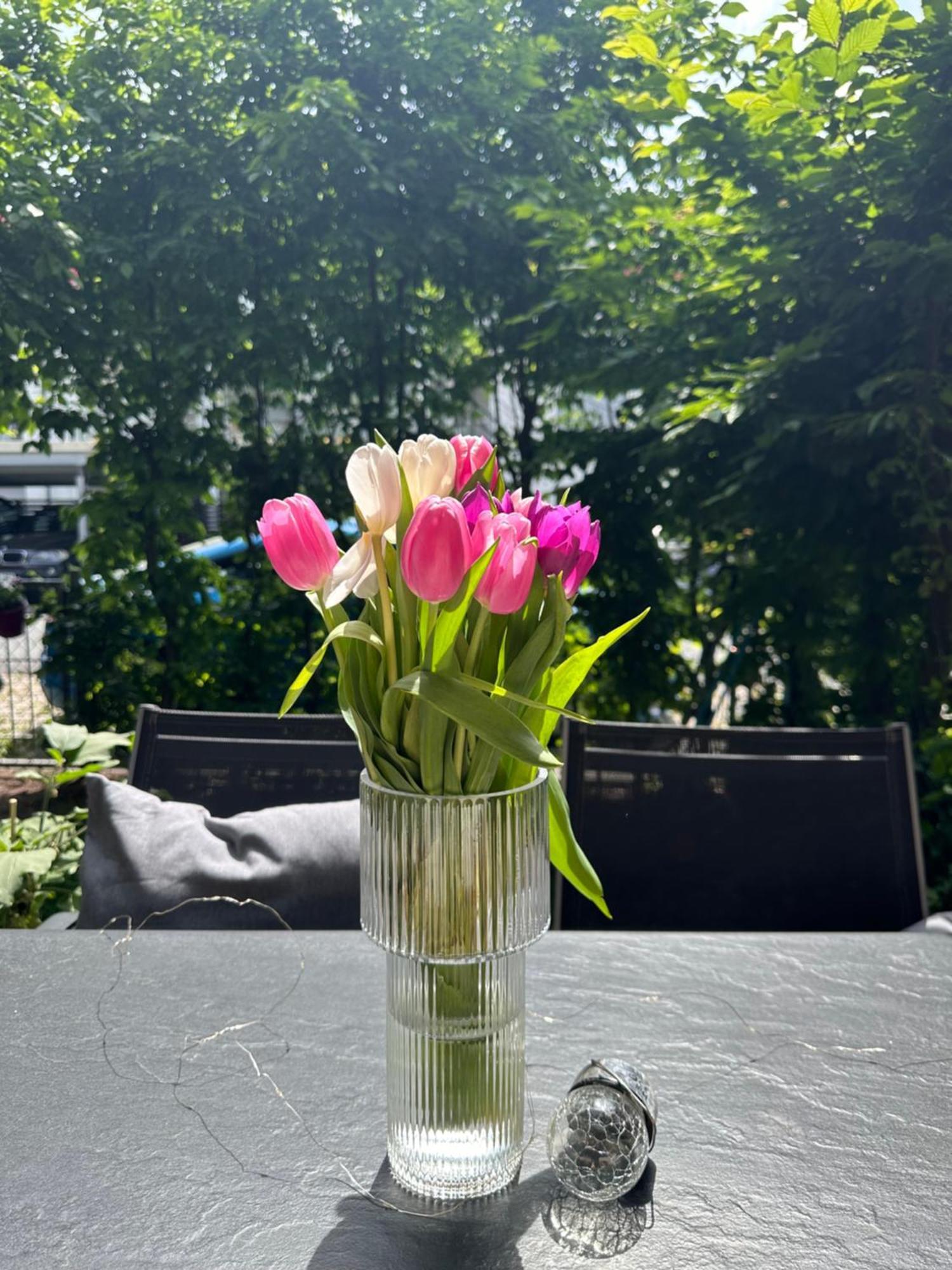 Luxus I Wohnkueche I Garten I Terrasse I Parkplatz Fürth Buitenkant foto